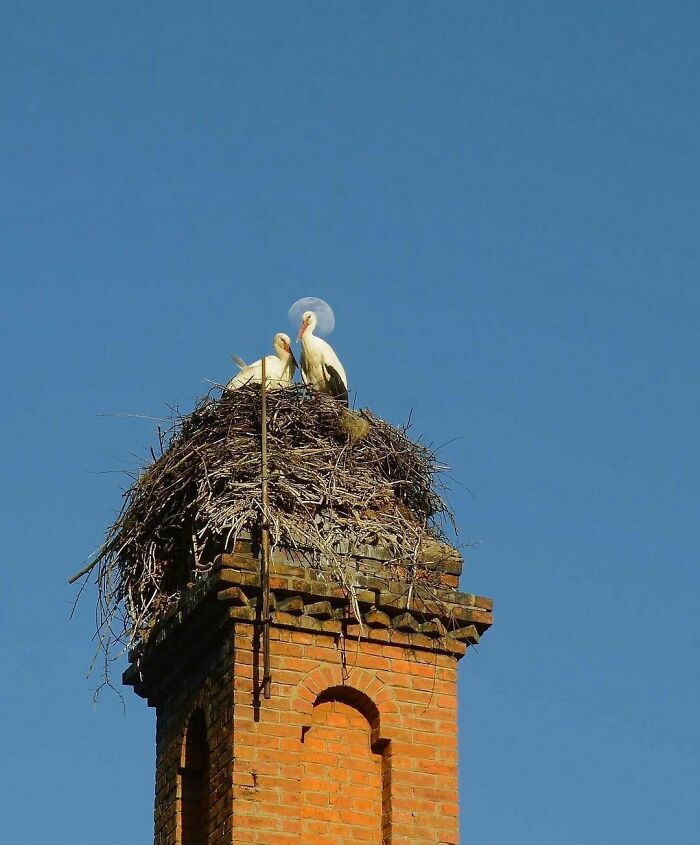 50 Hard To Explain But Impossible Not To Love Animal Pics, As Shared By This IG Page (New Pics) 50 Hard To Explain But Impossible Not To Love Animal Pics, As Shared By This IG Page (New Pics)