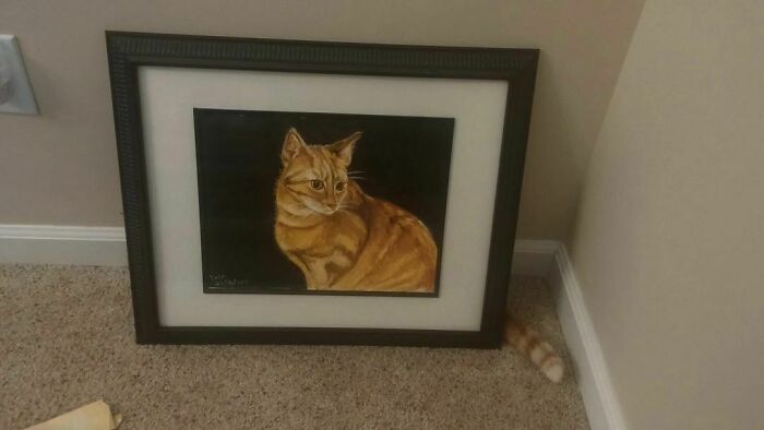 50 Hard To Explain But Impossible Not To Love Animal Pics, As Shared By This IG Page (New Pics) 50 Hard To Explain But Impossible Not To Love Animal Pics, As Shared By This IG Page (New Pics)