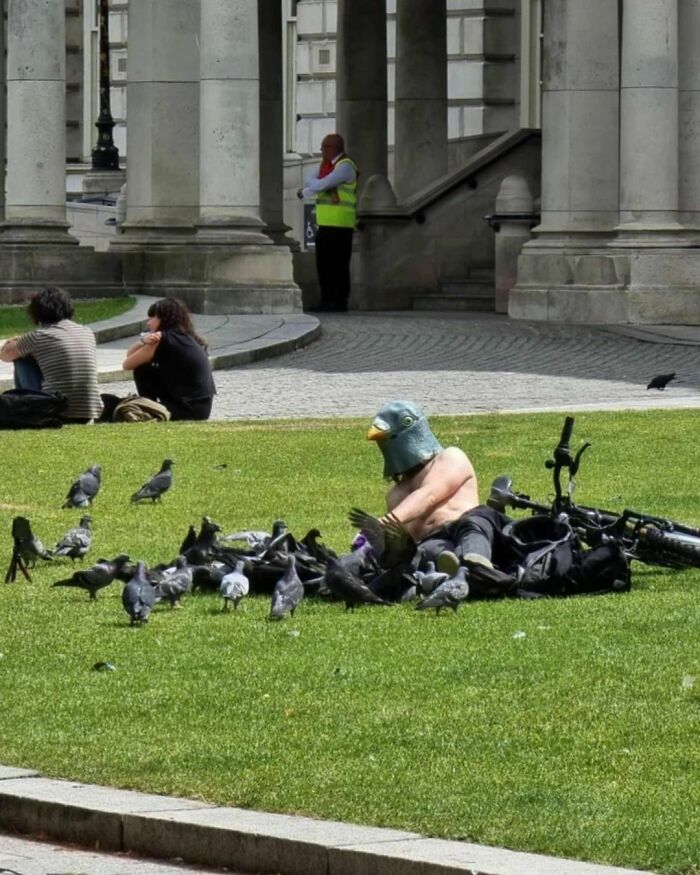 50 Hard To Explain But Impossible Not To Love Animal Pics, As Shared By This IG Page (New Pics) 50 Hard To Explain But Impossible Not To Love Animal Pics, As Shared By This IG Page (New Pics)