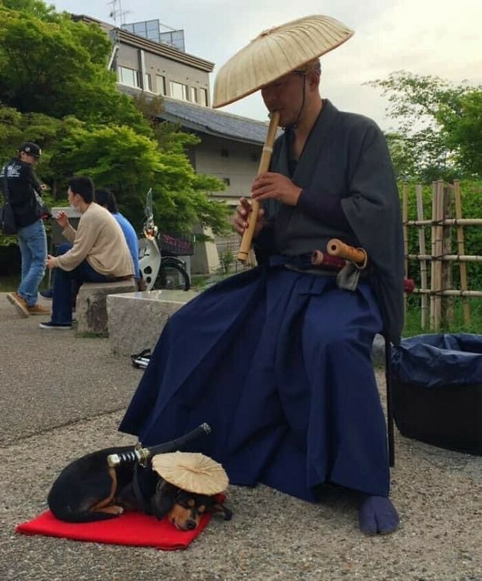 50 Hard To Explain But Impossible Not To Love Animal Pics, As Shared By This IG Page (New Pics) 50 Hard To Explain But Impossible Not To Love Animal Pics, As Shared By This IG Page (New Pics)