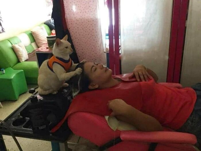 50 Hard To Explain But Impossible Not To Love Animal Pics, As Shared By This IG Page (New Pics) 50 Hard To Explain But Impossible Not To Love Animal Pics, As Shared By This IG Page (New Pics)