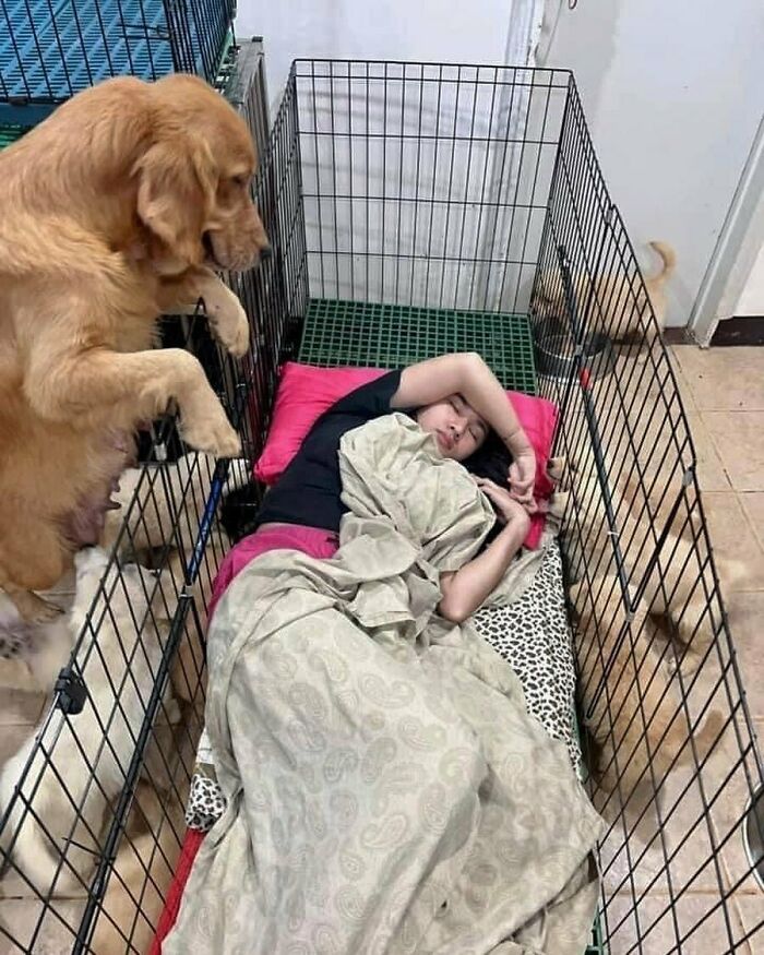 50 Hard To Explain But Impossible Not To Love Animal Pics, As Shared By This IG Page (New Pics) 50 Hard To Explain But Impossible Not To Love Animal Pics, As Shared By This IG Page (New Pics)