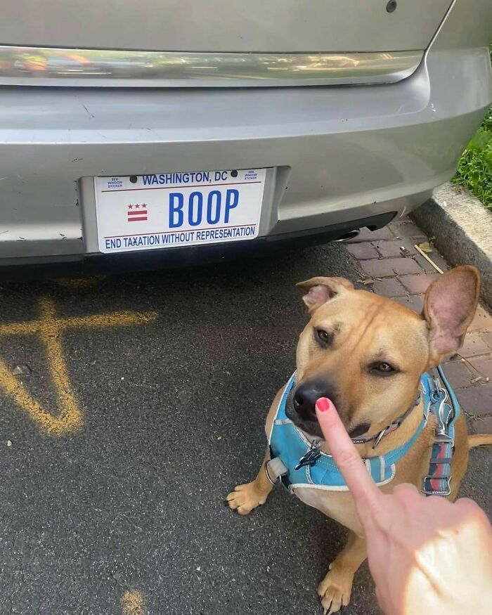 50 Hard To Explain But Impossible Not To Love Animal Pics, As Shared By This IG Page (New Pics) 50 Hard To Explain But Impossible Not To Love Animal Pics, As Shared By This IG Page (New Pics)