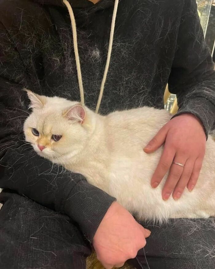 50 Hard To Explain But Impossible Not To Love Animal Pics, As Shared By This IG Page (New Pics) 50 Hard To Explain But Impossible Not To Love Animal Pics, As Shared By This IG Page (New Pics)