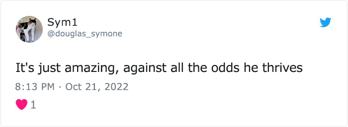 “The Universe Certainly Has A Great Sense Of Humor”: A Twitter User Shared Her Story Of Adopting And Taking Care Of An Abandoned Newborn Mouse “The Universe Certainly Has A Great Sense Of Humor”: A Twitter User Shared Her Story Of Adopting And Taking Care Of An Abandoned Newborn Mouse