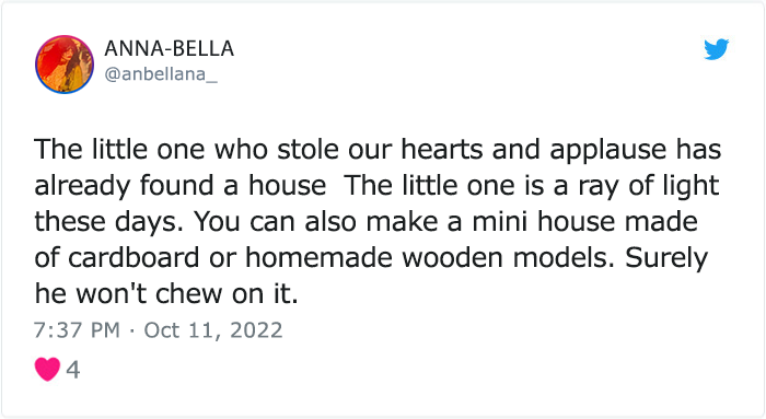 “The Universe Certainly Has A Great Sense Of Humor”: A Twitter User Shared Her Story Of Adopting And Taking Care Of An Abandoned Newborn Mouse “The Universe Certainly Has A Great Sense Of Humor”: A Twitter User Shared Her Story Of Adopting And Taking Care Of An Abandoned Newborn Mouse