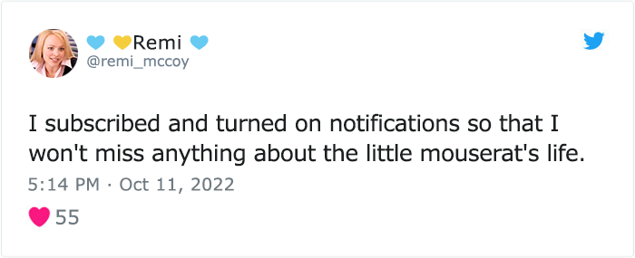 “The Universe Certainly Has A Great Sense Of Humor”: A Twitter User Shared Her Story Of Adopting And Taking Care Of An Abandoned Newborn Mouse “The Universe Certainly Has A Great Sense Of Humor”: A Twitter User Shared Her Story Of Adopting And Taking Care Of An Abandoned Newborn Mouse