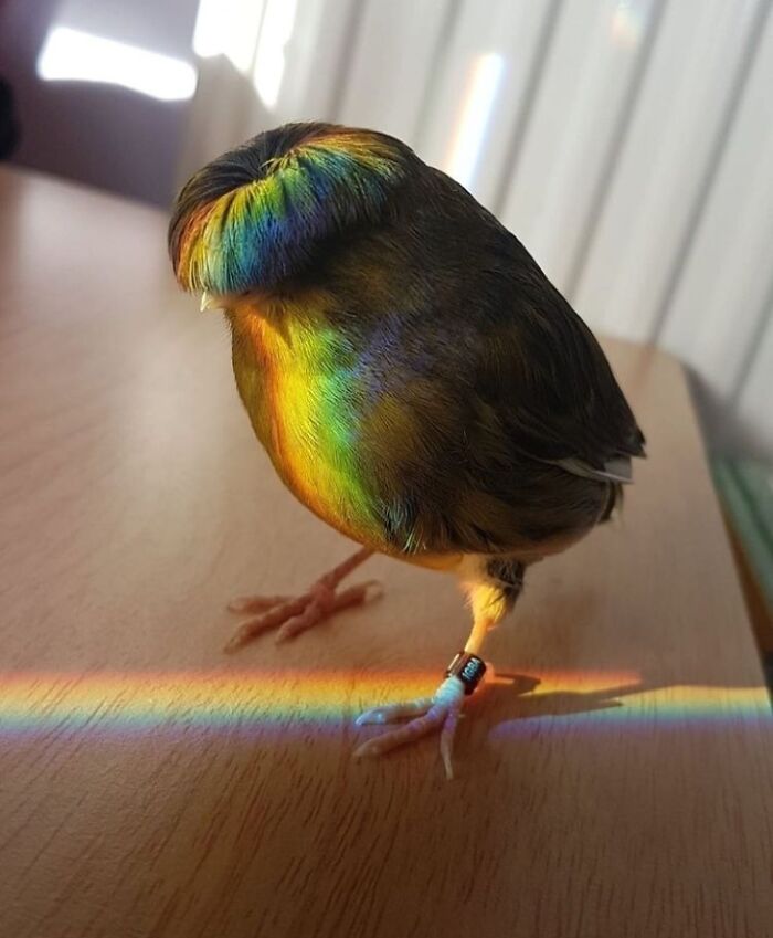 50 Pics Without Context That Get Weirder And Weirder The Longer You Look At Them, As Shared On This Online Group (New Pics)