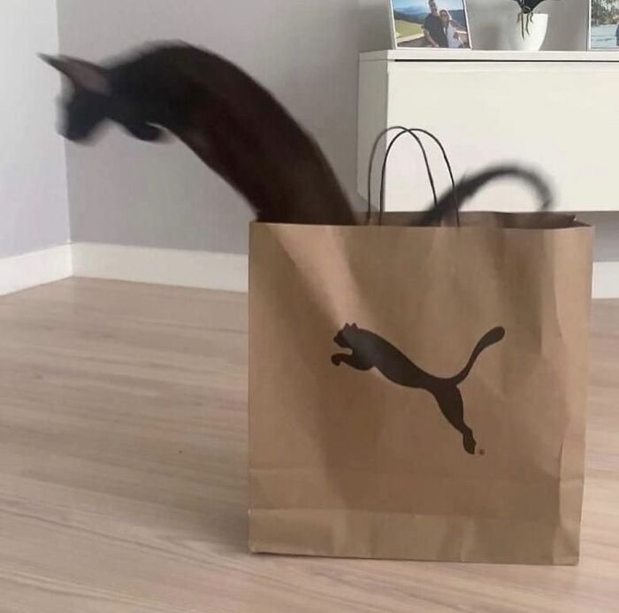 50 Pics Without Context That Get Weirder And Weirder The Longer You Look At Them, As Shared On This Online Group (New Pics)