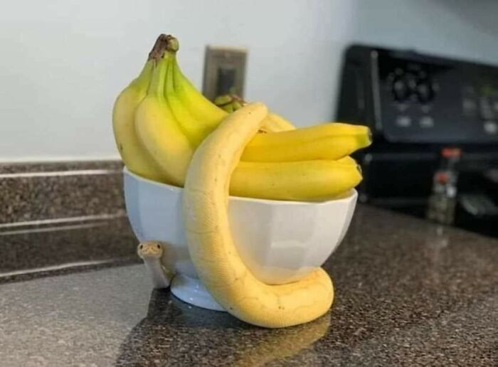 50 Pics Without Context That Get Weirder And Weirder The Longer You Look At Them, As Shared On This Online Group (New Pics)