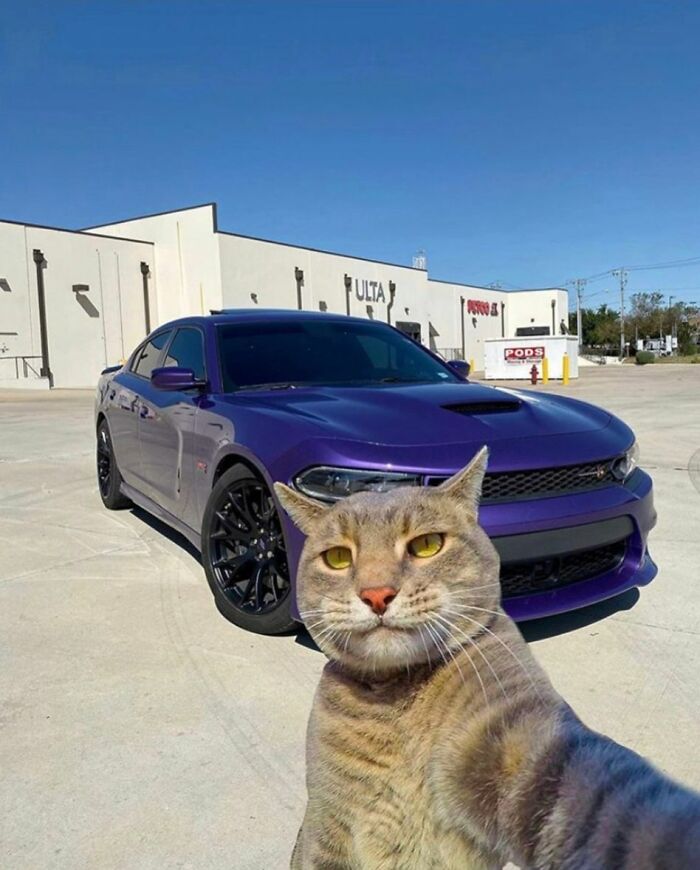 50 Pics Without Context That Get Weirder And Weirder The Longer You Look At Them, As Shared On This Online Group (New Pics)