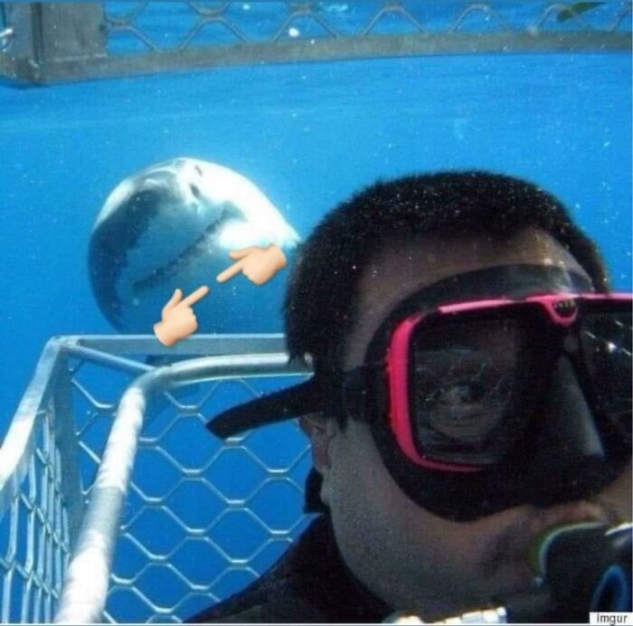 50 Pics Without Context That Get Weirder And Weirder The Longer You Look At Them, As Shared On This Online Group (New Pics)