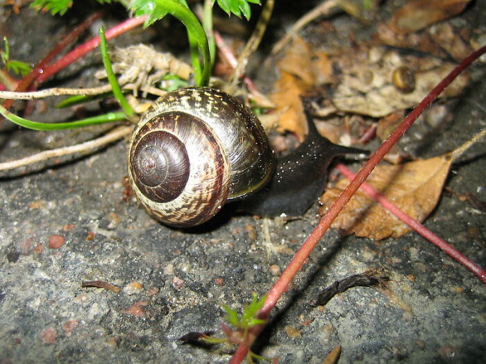 Folks Online Can’t Believe That People Actually Enjoy These 30 Foods And Drinks Folks Online Can’t Believe That People Actually Enjoy These 30 Foods And Drinks