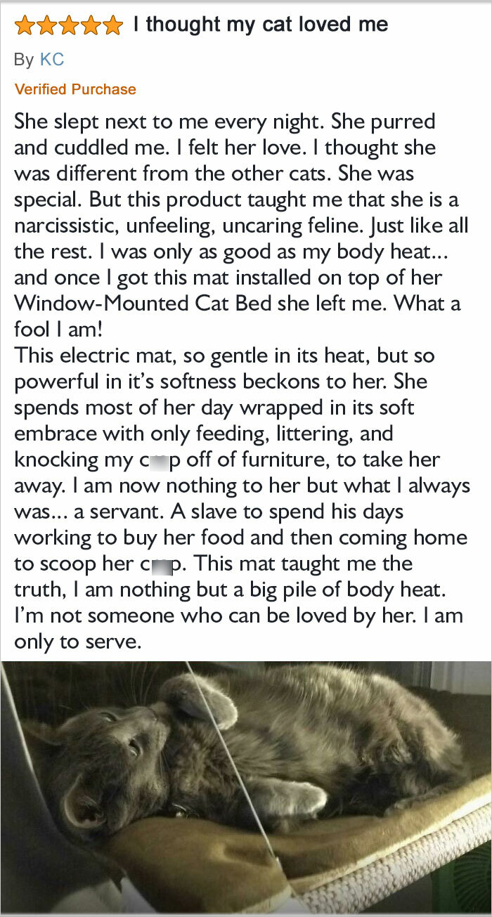 30 People That Left The Funniest Reviews On Amazon (New Pics) 30 People That Left The Funniest Reviews On Amazon (New Pics)