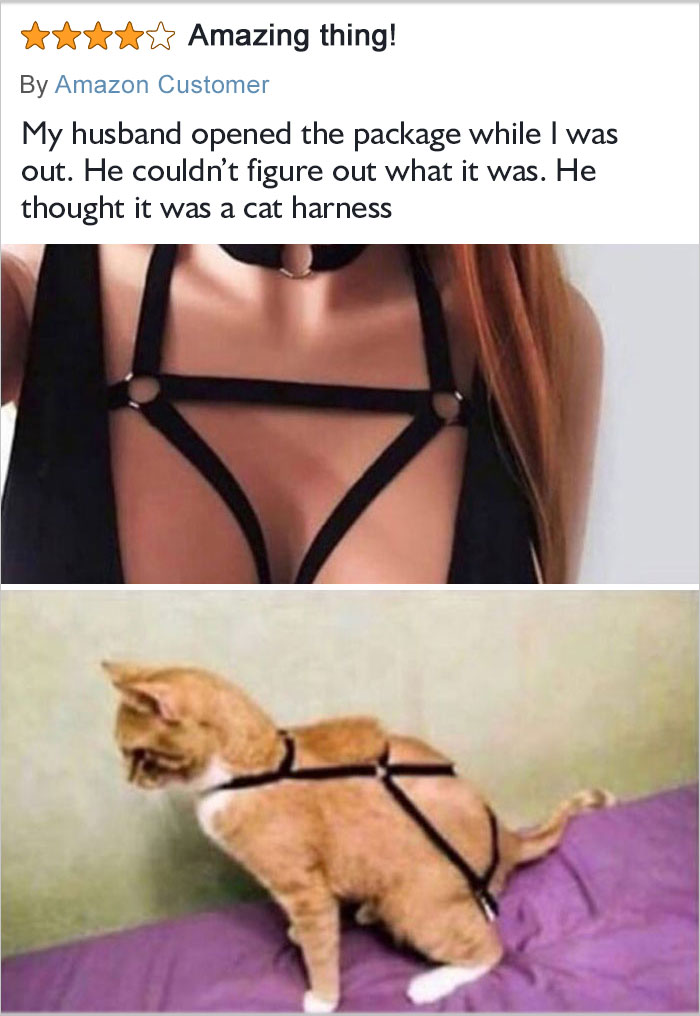 30 People That Left The Funniest Reviews On Amazon (New Pics) 30 People That Left The Funniest Reviews On Amazon (New Pics)