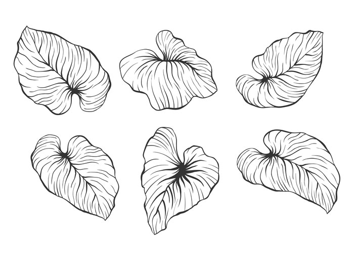 97 Drawing Prompts For When You Really Have No Ideas 97 Drawing Prompts For When You Really Have No Ideas