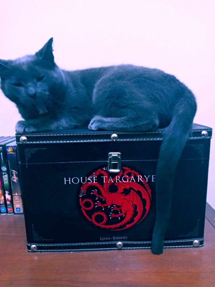 Hey Pandas, Post Something You’re Proud Of (Closed) Hey Pandas, Post Something You’re Proud Of (Closed)