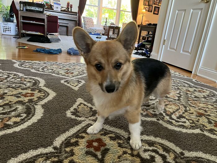 Hey Pandas, What’s A Photo You Want To Share But No Post Is Specific Enough? (Closed) Hey Pandas, What’s A Photo You Want To Share But No Post Is Specific Enough? (Closed)