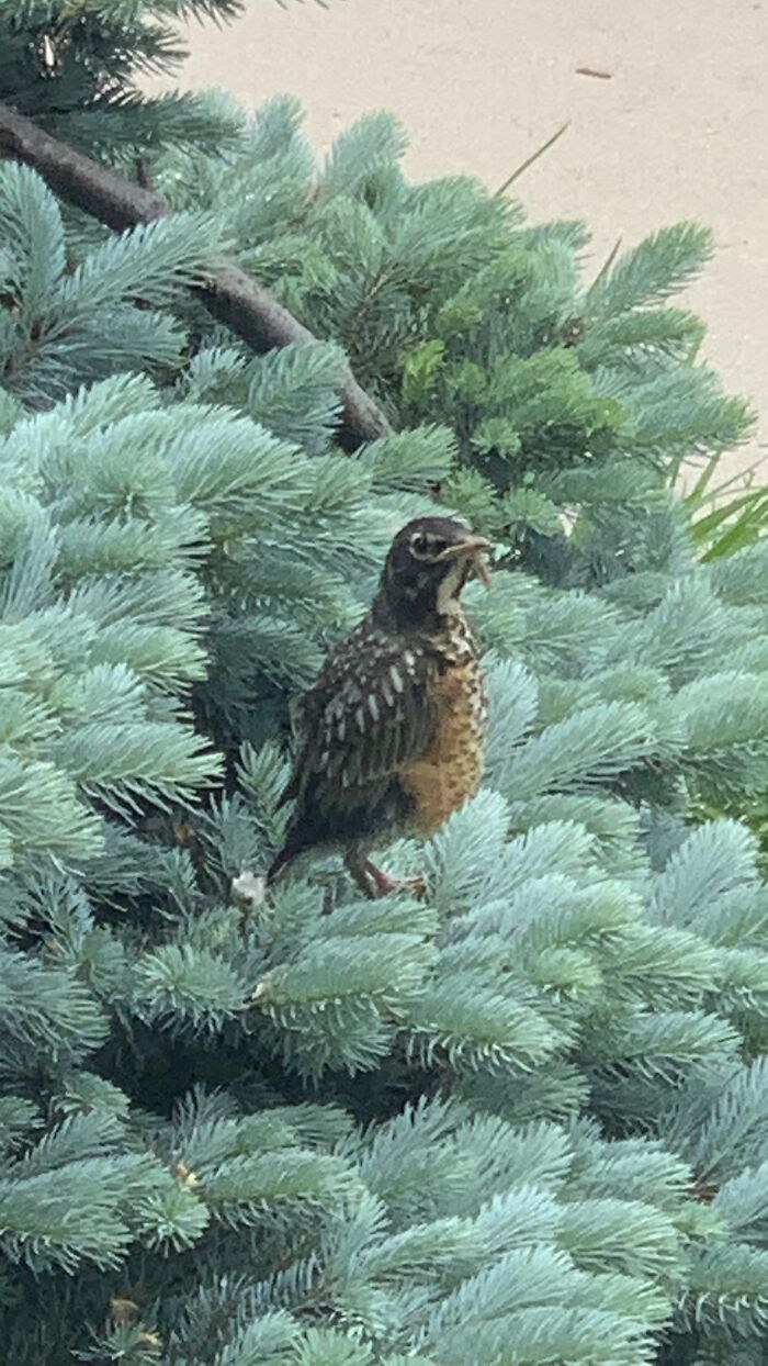 Hey Pandas, What’s A Photo You Want To Share But No Post Is Specific Enough? (Closed) Hey Pandas, What’s A Photo You Want To Share But No Post Is Specific Enough? (Closed)