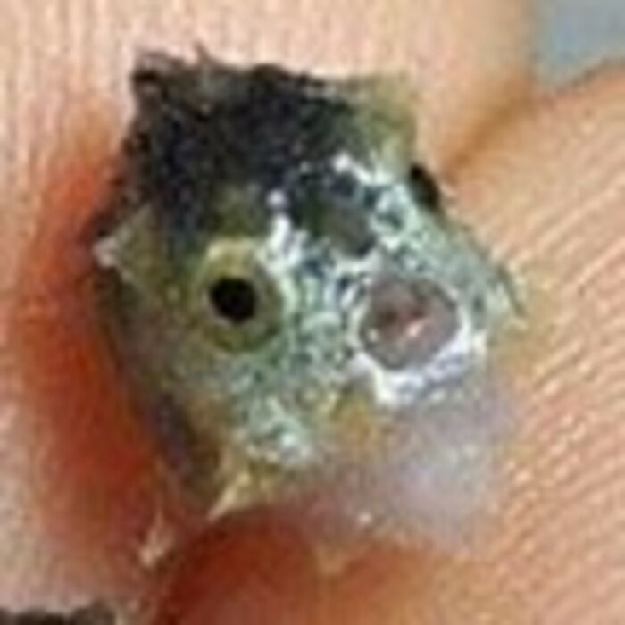 Hey Pandas, What’s A Photo You Want To Share But No Post Is Specific Enough? (Closed) Hey Pandas, What’s A Photo You Want To Share But No Post Is Specific Enough? (Closed)