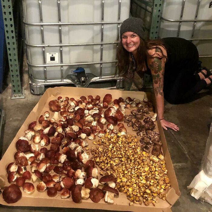 39 Times Mushroom Pickers Stumbled Upon The Weirdest Species And Shared Them Online 39 Times Mushroom Pickers Stumbled Upon The Weirdest Species And Shared Them Online