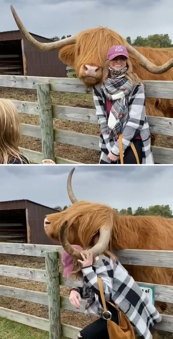 40 Times People Spotted Influencers Doing Questionable Things To Get “The Shot” And Shamed Them On ‘Influencers In The Wild’ (New Pics) 40 Times People Spotted Influencers Doing Questionable Things To Get “The Shot” And Shamed Them On ‘Influencers In The Wild’ (New Pics)