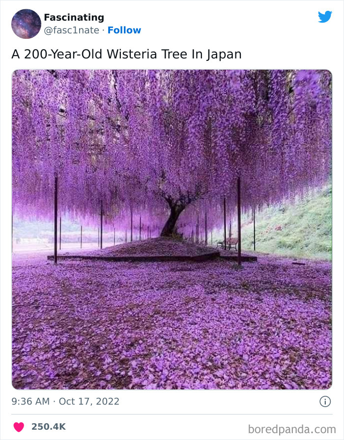 This Twitter Page Shares Interesting Facts About The World, And Here Are 45 That Might Surprise You