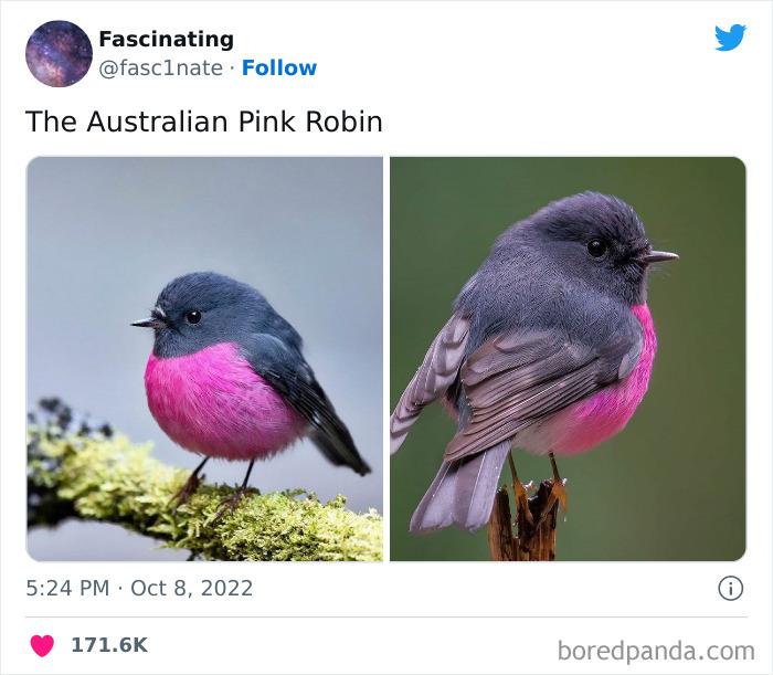 This Twitter Page Shares Interesting Facts About The World, And Here Are 45 That Might Surprise You This Twitter Page Shares Interesting Facts About The World, And Here Are 45 That Might Surprise You