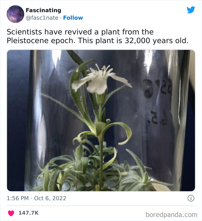 This Twitter Page Shares Interesting Facts About The World, And Here Are 45 That Might Surprise You