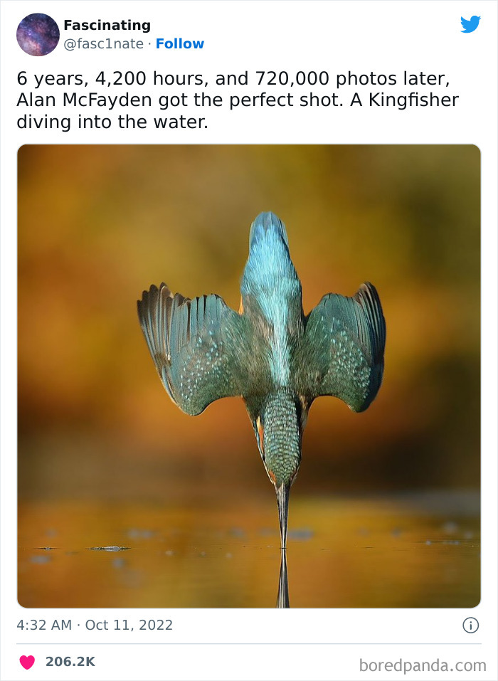 This Twitter Page Shares Interesting Facts About The World, And Here Are 45 That Might Surprise You This Twitter Page Shares Interesting Facts About The World, And Here Are 45 That Might Surprise You