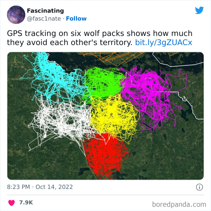 This Twitter Page Shares Interesting Facts About The World, And Here Are 45 That Might Surprise You This Twitter Page Shares Interesting Facts About The World, And Here Are 45 That Might Surprise You