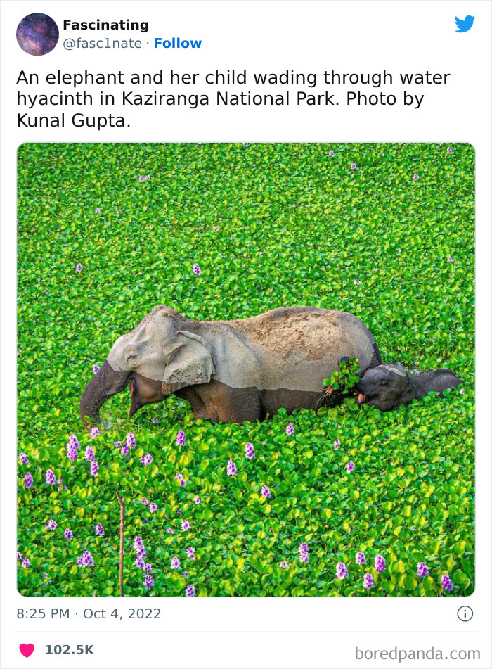 This Twitter Page Shares Interesting Facts About The World, And Here Are 45 That Might Surprise You This Twitter Page Shares Interesting Facts About The World, And Here Are 45 That Might Surprise You