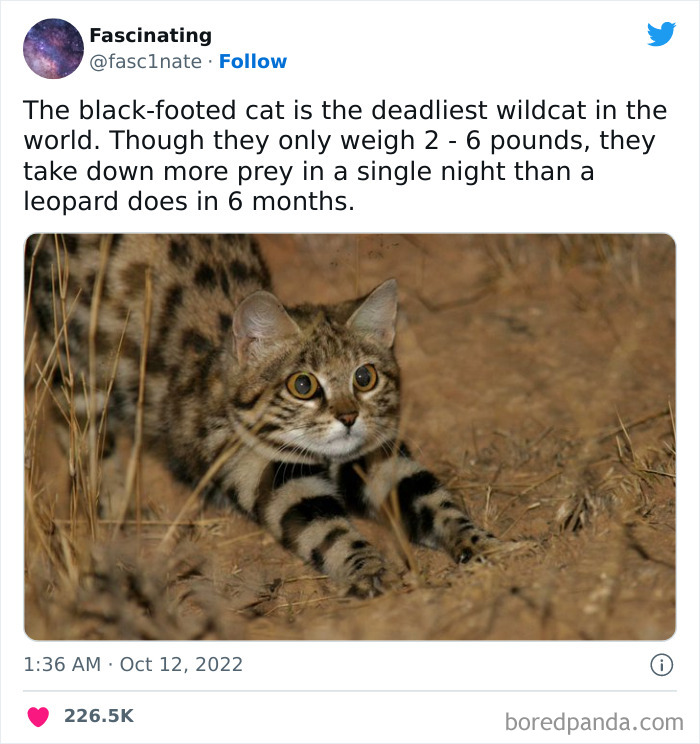 This Twitter Page Shares Interesting Facts About The World, And Here Are 45 That Might Surprise You This Twitter Page Shares Interesting Facts About The World, And Here Are 45 That Might Surprise You