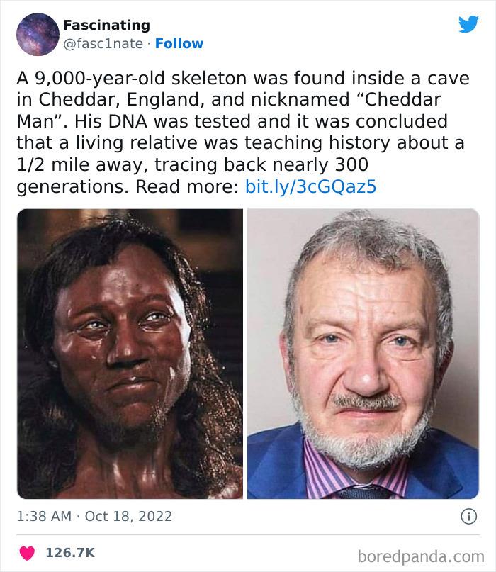 This Twitter Page Shares Interesting Facts About The World, And Here Are 45 That Might Surprise You