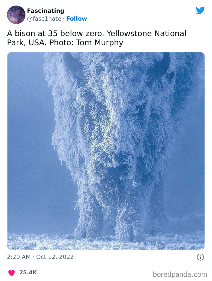 This Twitter Page Shares Interesting Facts About The World, And Here Are 45 That Might Surprise You