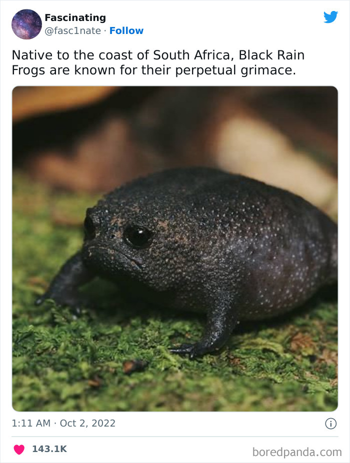 This Twitter Page Shares Interesting Facts About The World, And Here Are 45 That Might Surprise You This Twitter Page Shares Interesting Facts About The World, And Here Are 45 That Might Surprise You