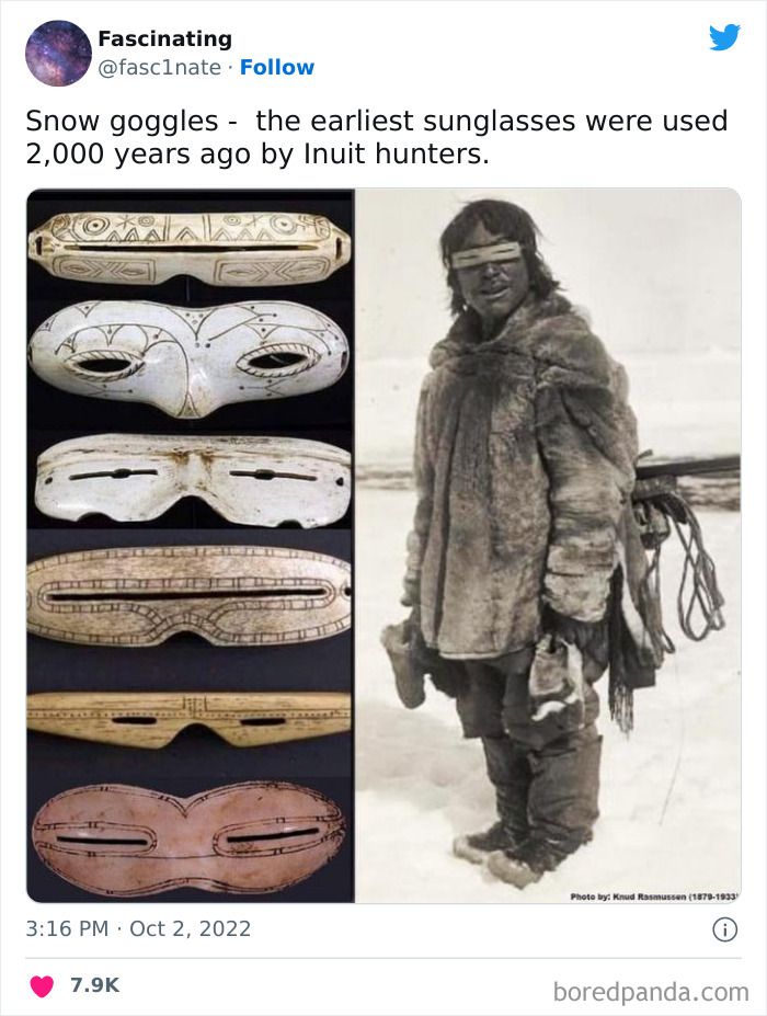 This Twitter Page Shares Interesting Facts About The World, And Here Are 45 That Might Surprise You This Twitter Page Shares Interesting Facts About The World, And Here Are 45 That Might Surprise You