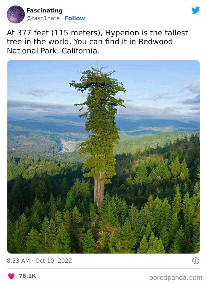 This Twitter Page Shares Interesting Facts About The World, And Here Are 45 That Might Surprise You This Twitter Page Shares Interesting Facts About The World, And Here Are 45 That Might Surprise You