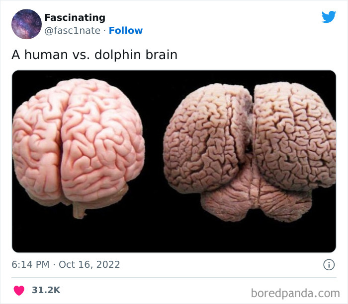 This Twitter Page Shares Interesting Facts About The World, And Here Are 45 That Might Surprise You This Twitter Page Shares Interesting Facts About The World, And Here Are 45 That Might Surprise You