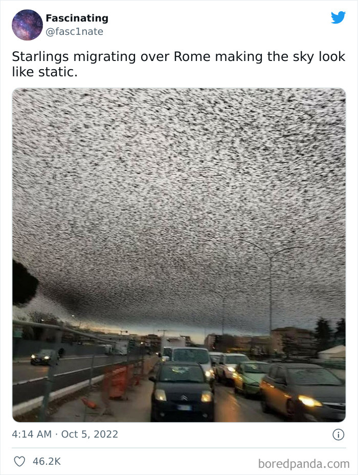 This Twitter Page Shares Interesting Facts About The World, And Here Are 45 That Might Surprise You This Twitter Page Shares Interesting Facts About The World, And Here Are 45 That Might Surprise You