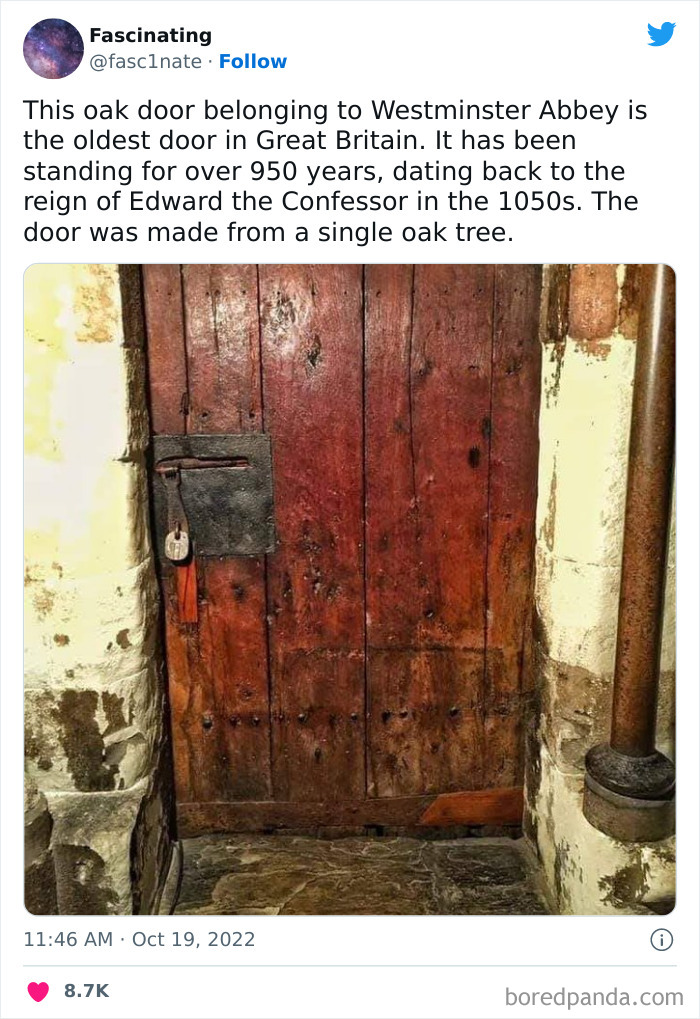 This Twitter Page Shares Interesting Facts About The World, And Here Are 45 That Might Surprise You