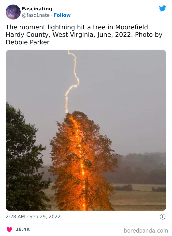 This Twitter Page Shares Interesting Facts About The World, And Here Are 45 That Might Surprise You