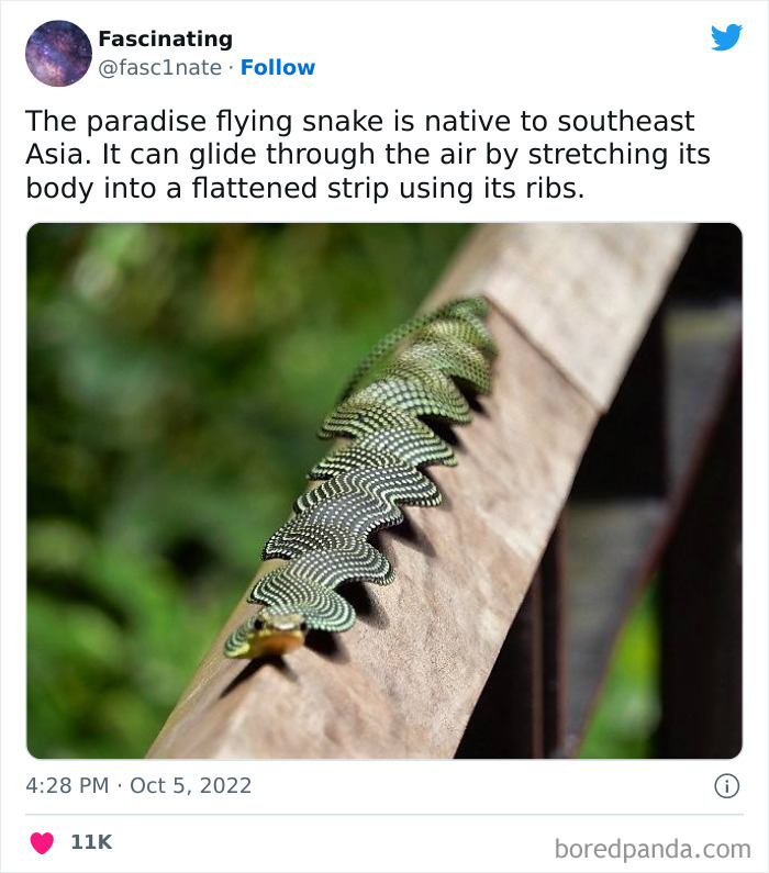 This Twitter Page Shares Interesting Facts About The World, And Here Are 45 That Might Surprise You