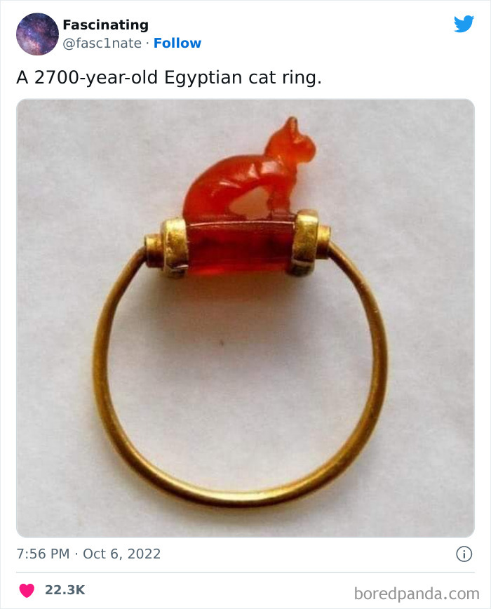 This Twitter Page Shares Interesting Facts About The World, And Here Are 45 That Might Surprise You This Twitter Page Shares Interesting Facts About The World, And Here Are 45 That Might Surprise You