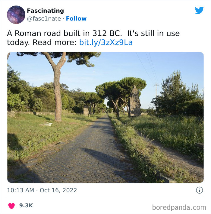 This Twitter Page Shares Interesting Facts About The World, And Here Are 45 That Might Surprise You