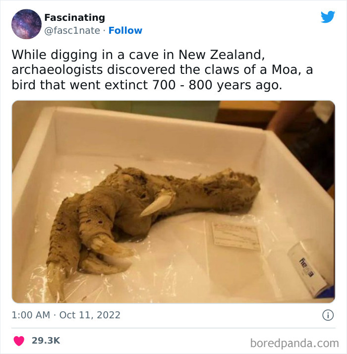 This Twitter Page Shares Interesting Facts About The World, And Here Are 45 That Might Surprise You