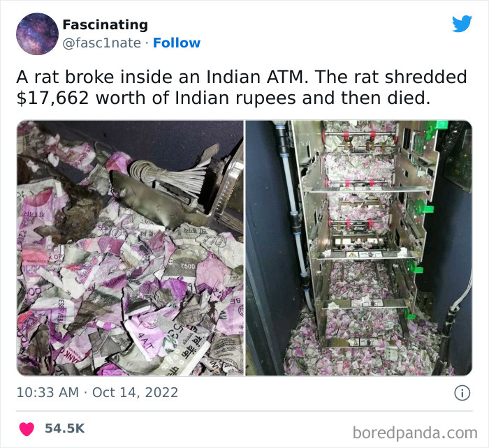 This Twitter Page Shares Interesting Facts About The World, And Here Are 45 That Might Surprise You