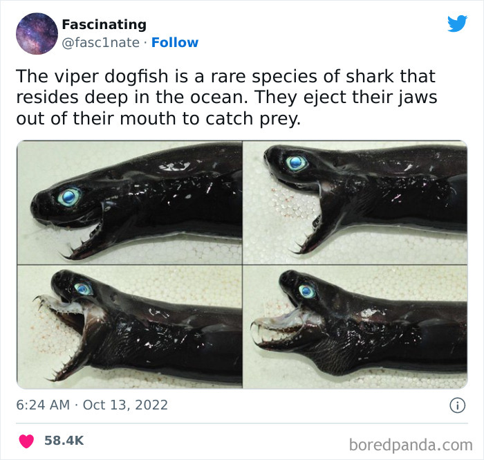 This Twitter Page Shares Interesting Facts About The World, And Here Are 45 That Might Surprise You