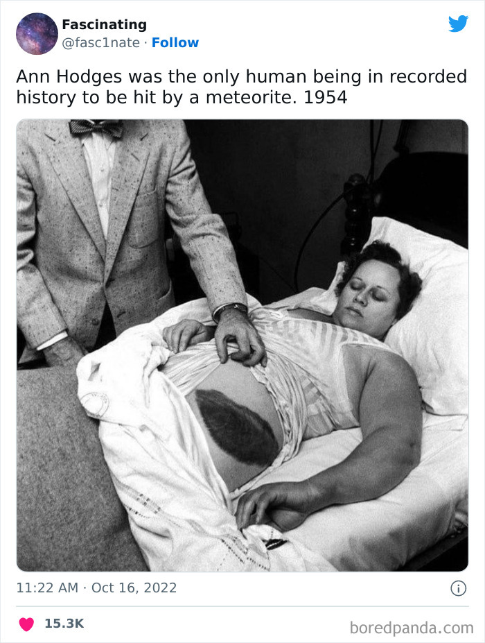 This Twitter Page Shares Interesting Facts About The World, And Here Are 45 That Might Surprise You This Twitter Page Shares Interesting Facts About The World, And Here Are 45 That Might Surprise You