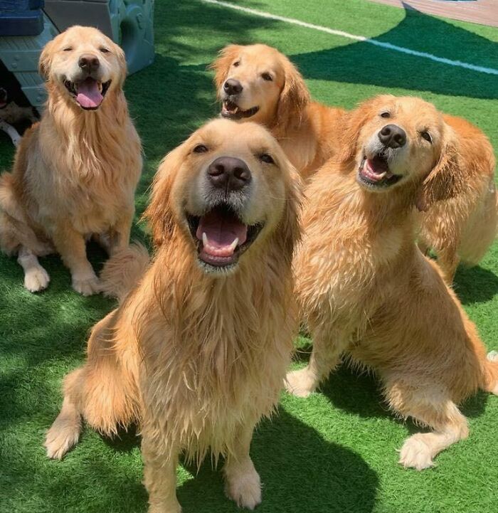 50 Animal Glitches In The Matrix That Might Freak You Out 50 Animal Glitches In The Matrix That Might Freak You Out